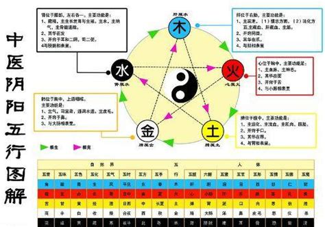 金生水個性|怎么理解五行理论中的“金生水”？